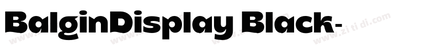BalginDisplay Black字体转换